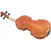 DIMAVERY Viool middenklasse 4/4 (26400520)