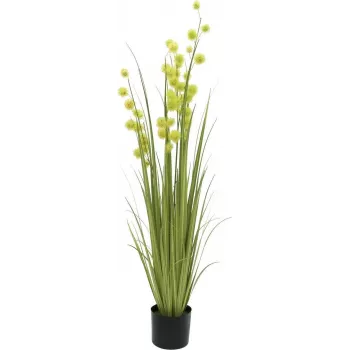 EUROPALMS Pompom Grass kunstplant, 122 cm, groen 82500136