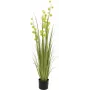 EUROPALMS Pompom Grass kunstplant, 122 cm, groen 82500136