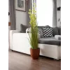 EUROPALMS Pompom Grass kunstplant, 122 cm, groen 82500136