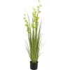 EUROPALMS Pompom Grass kunstplant, 122 cm, groen 82500136