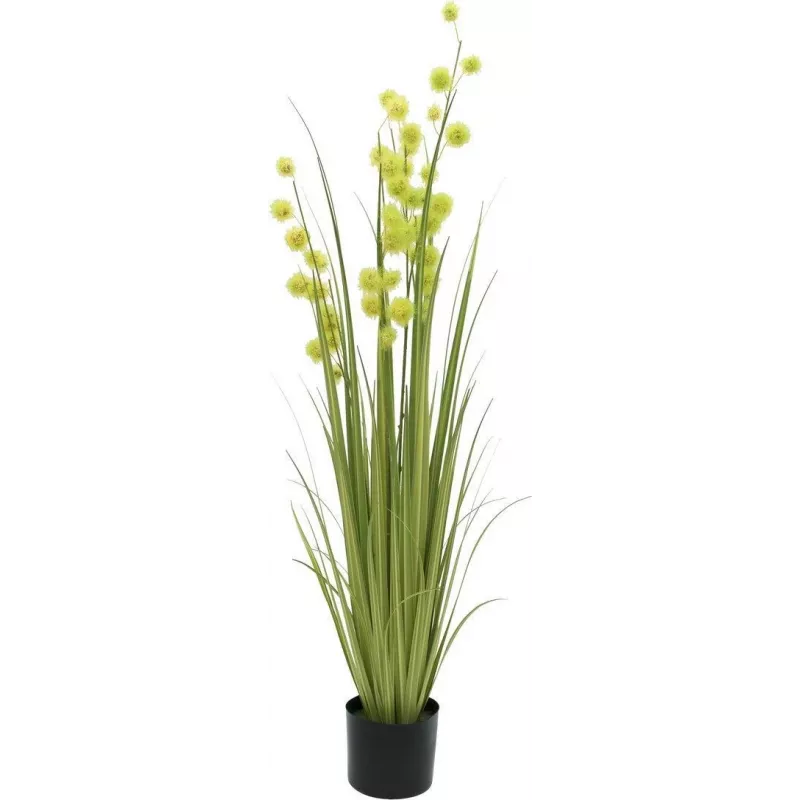 EUROPALMS Pompom Grass kunstplant, 122 cm, groen 82500136