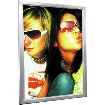 EUROPALMS reclamewand A0, verlicht, aluminium (83331753)