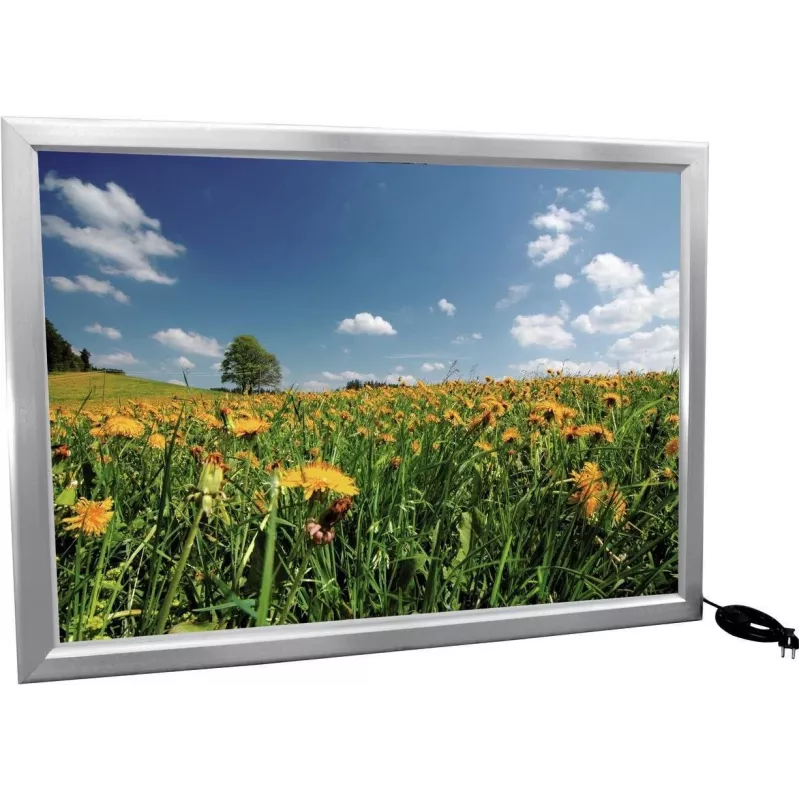 EUROPALMS reclamewand A0, verlicht, aluminium (83331753)