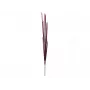 EUROPALMS Magic Onion Grass kunstplant, roze, 134 cm 82532003