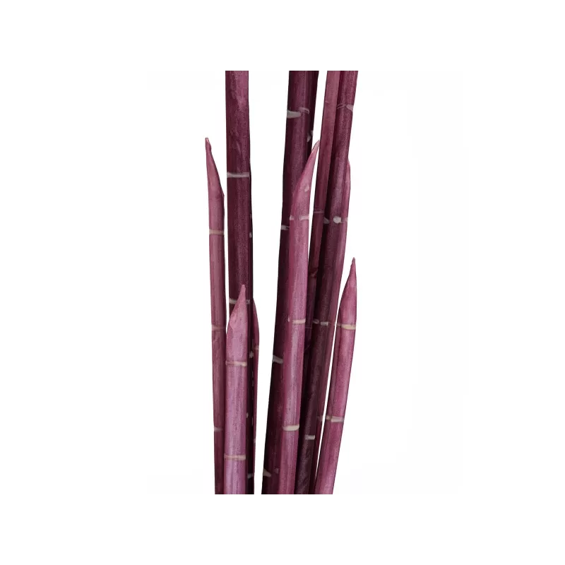 EUROPALMS Magic Onion Grass kunstplant, roze, 134 cm 82532003