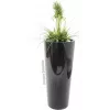 EUROPALMS kunstgras-arrangement, 90cm, groen, in zwarte pot 82600137