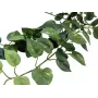EUROPALMS Pothos haag Classic, kunstmatig, 70 cm (82502201)