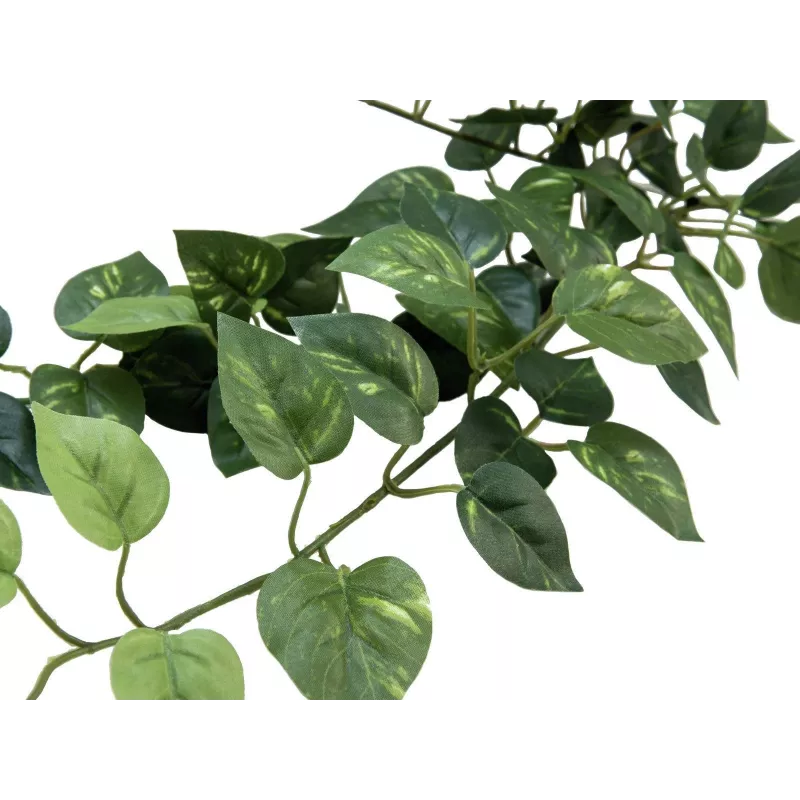 EUROPALMS Pothos haag Classic, kunstmatig, 70 cm (82502201)
