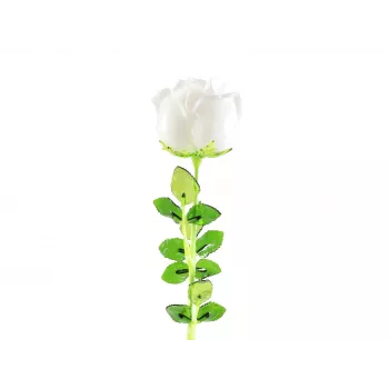 EUROPALMS Crystal Rose kunstbloem, wit, 81 cm, 12 stuks 82600208