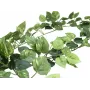 EUROPALMS Pothos slinger Classic, kunstmatig, 180 cm 82503728