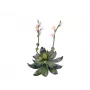 EUROPALMS Stone Rose (EVA) kunstplant, roze, 32 cm 82530572