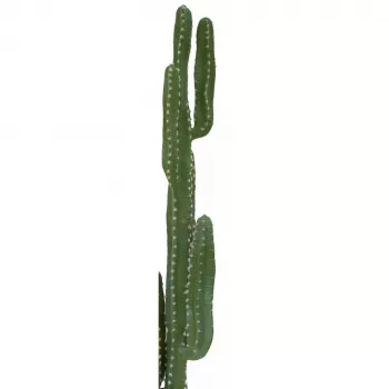EUROPALMS Mexicaanse cactus kunstplant, groen, 123 cm 82801072