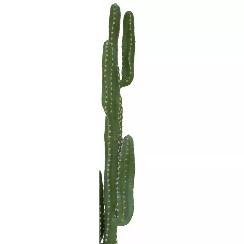 EUROPALMS Mexicaanse cactus kunstplant, groen, 123 cm 82801072