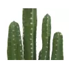 EUROPALMS Mexicaanse cactus kunstplant, groen, 123 cm 82801072