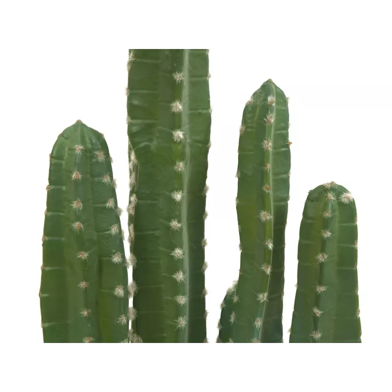 EUROPALMS Mexicaanse cactus kunstplant, groen, 123 cm 82801072