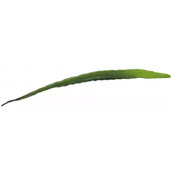 EUROPALMS Kunstmatig aloëblad (EVA), groen, 60 cm 82530581