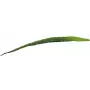 EUROPALMS Kunstmatig aloëblad (EVA), groen, 60 cm 82530581