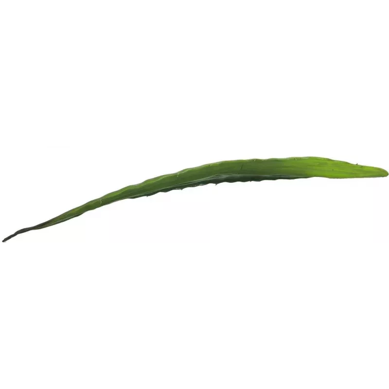EUROPALMS Kunstmatig aloëblad (EVA), groen, 60 cm 82530581