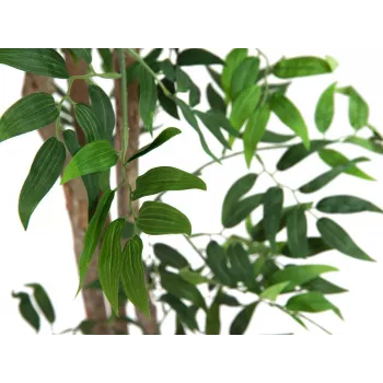 EUROPALMS Ficus Longifolia kunstplant, 165 cm 82506350