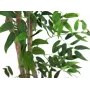 EUROPALMS Ficus Longifolia kunstplant, 165 cm 82506350