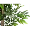 EUROPALMS Ficus Longifolia kunstplant, 165 cm 82506350