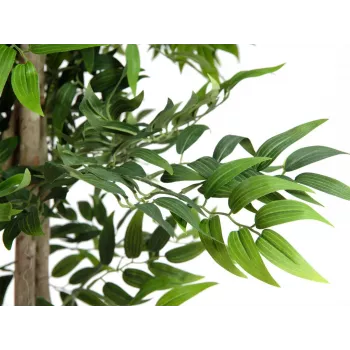 EUROPALMS Ficus Longifolia kunstplant, 165 cm 82506350