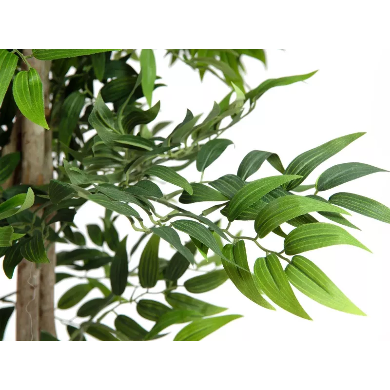 EUROPALMS Ficus Longifolia kunstplant, 165 cm 82506350