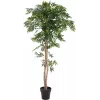 EUROPALMS Ficus Longifolia kunstplant, 165 cm 82506350