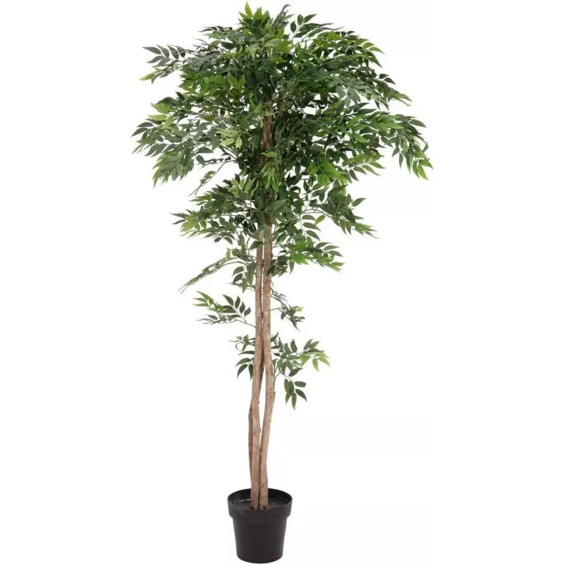 EUROPALMS Ficus Longifolia kunstplant, 165 cm 82506350