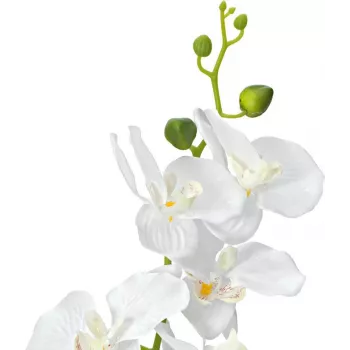 EUROPALMS Orchidee kunstplant, wit, 80 cm (82530362)