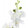 EUROPALMS Orchidee kunstplant, wit, 80 cm (82530362)