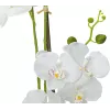EUROPALMS Orchidee kunstplant, wit, 80 cm (82530362)
