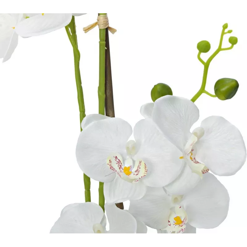 EUROPALMS Orchidee kunstplant, wit, 80 cm (82530362)
