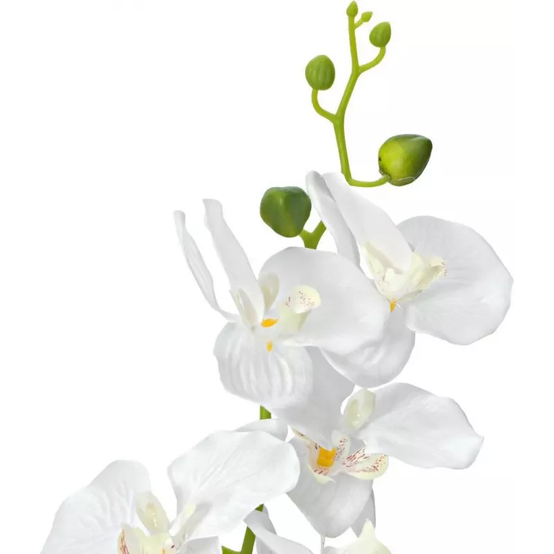 EUROPALMS Orchidee kunstplant, wit, 80 cm (82530362)