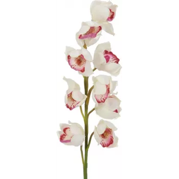 EUROPALMS Cymbidium-tak, kunstmatig, wit-roze, 90 cm 82530312