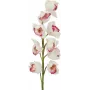 EUROPALMS Cymbidium-tak, kunstmatig, wit-roze, 90 cm 82530312