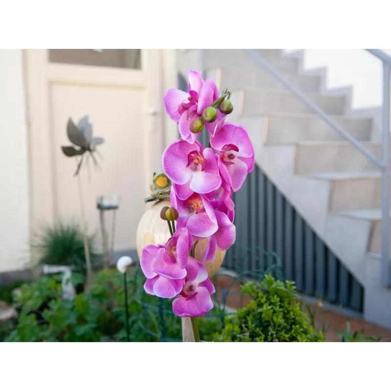 EUROPALMS Kunstmatige orchideetak, paars, 100 cm 82530322