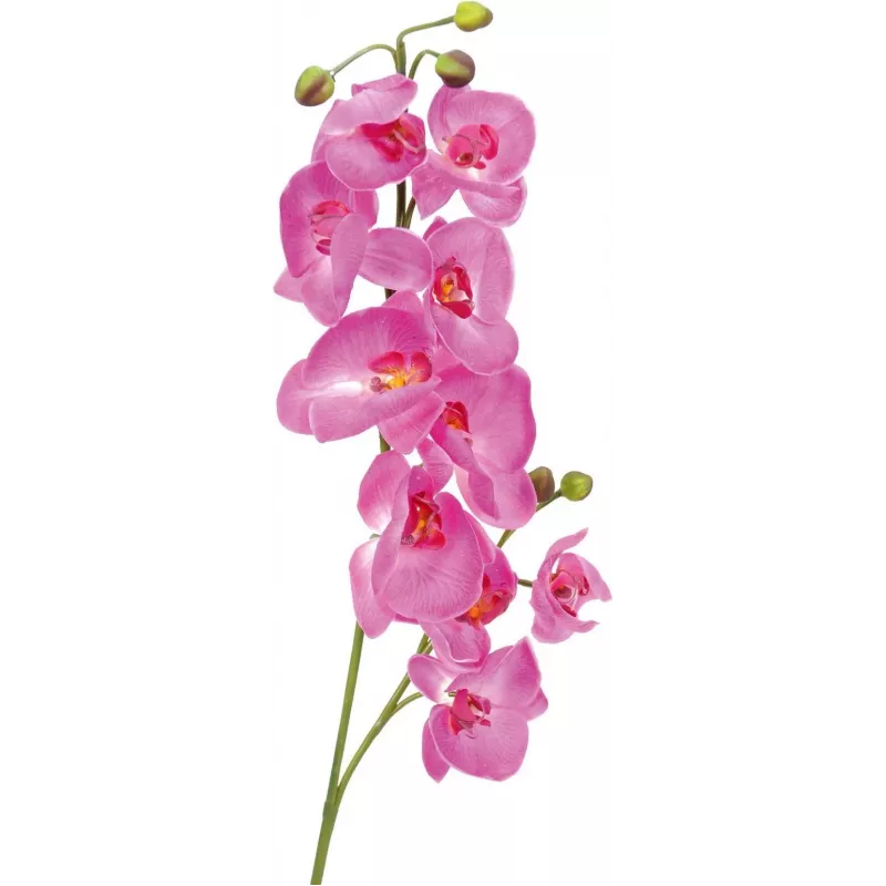 EUROPALMS Kunstmatige orchideetak, paars, 100 cm 82530322