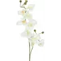 EUROPALMS Kunstmatige orchideetak, crème-wit, 100 cm (82530323)