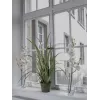 EUROPALMS Kunstmatige orchideetak, crème-wit, 100 cm (82530323)