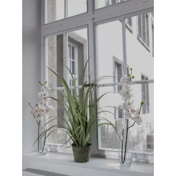 EUROPALMS Kunstmatige orchideetak, crème-wit, 100 cm (82530323)