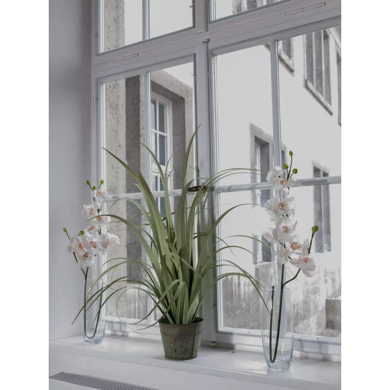 EUROPALMS Kunstmatige orchideetak, crème-wit, 100 cm (82530323)