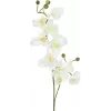 EUROPALMS Kunstmatige orchideetak, crème-wit, 100 cm (82530323)