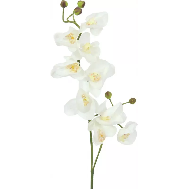 EUROPALMS Kunstmatige orchideetak, crème-wit, 100 cm (82530323)