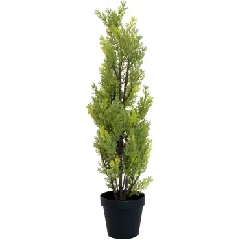 EUROPALMS Leyland-cipres kunstplant, 60cm 82606959