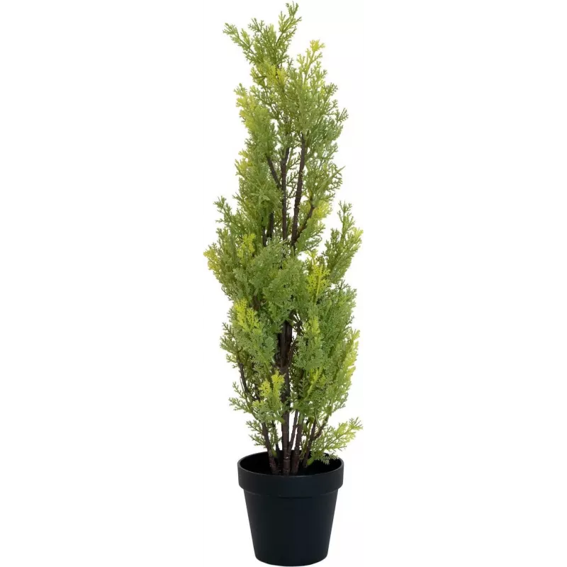 EUROPALMS Leyland-cipres kunstplant, 60cm 82606959