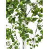 EUROPALMS berkenboom kunstplant 180cm 82505231