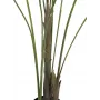 EUROPALMS grootbladige areca kunst arecapalm, 185cm (82509442)