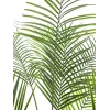 EUROPALMS grootbladige areca kunst arecapalm, 185cm (82509442)
